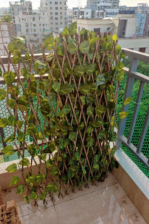 Artificial fence In good condition Size: 3×8 feet (choto boro