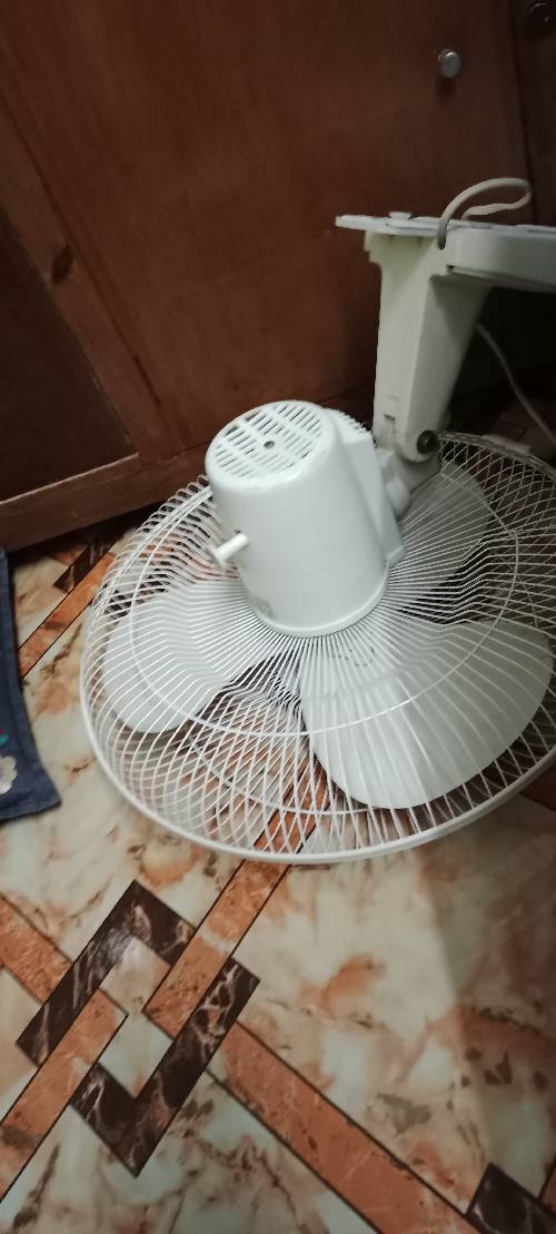 এটি পাকিস্তানি ব্রান্ডের ওয়াল ফ্যান, বিক্রয় মূল্য :৩৫০০ টাকা। একদম