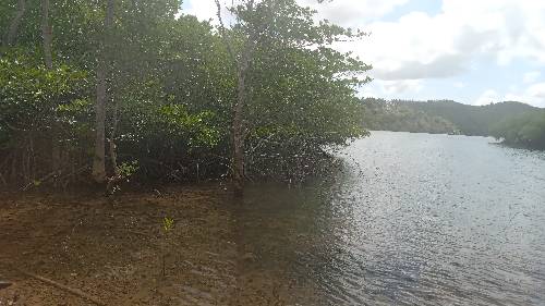 For sale A Dacking area of YACT ,BOAT , 2000