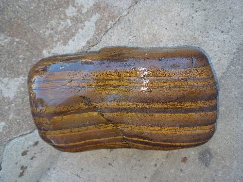 Petrified wood sample 240mm*140mm*90mm