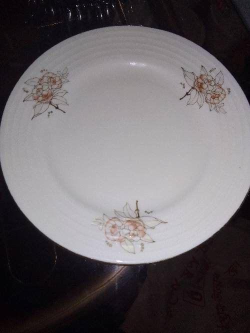 Cod plates very beautiful no damages