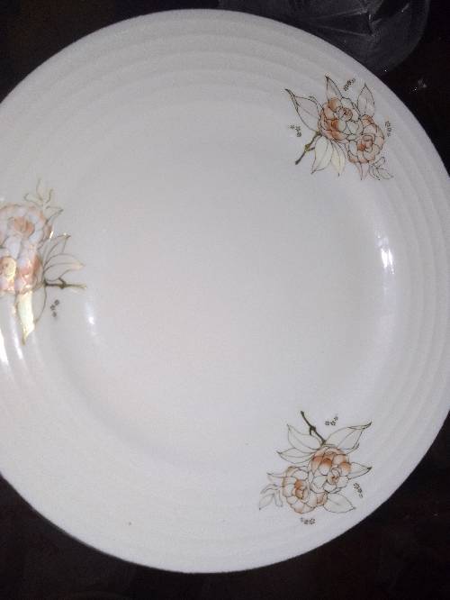 Cod plates very beautiful no damages