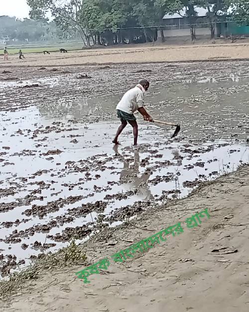 বাংলাদেশের কৃষক এবং গ্রামের চিত্র এর ফটো