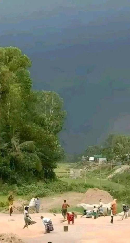 বাংলাদেশের কৃষক এবং গ্রামের চিত্র এর ফটো