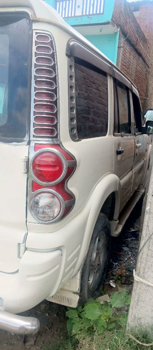 New lena hai