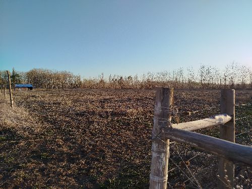 EN VENTA 🌿 1,25 Hectáreas 🌿 ◇Ubicada a 1500mts. De