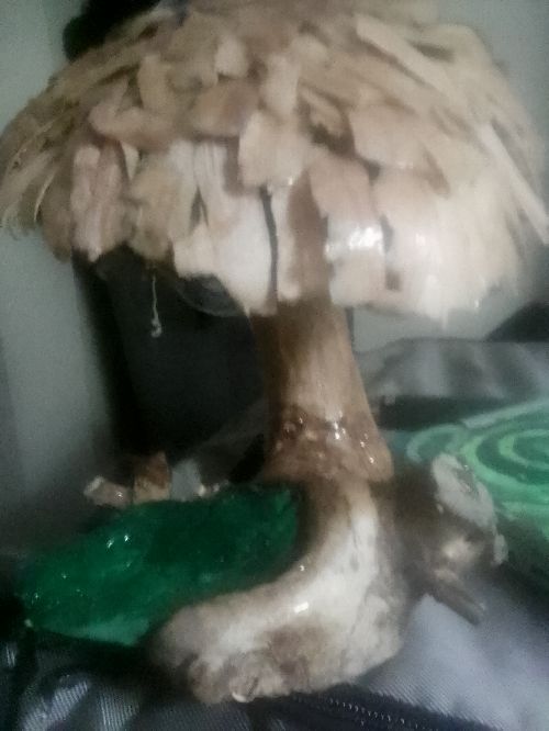 Hand carved mushroom night light with battery operated LED finished