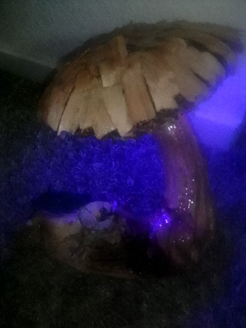 Hand carved mushroom night light with battery operated LED finished