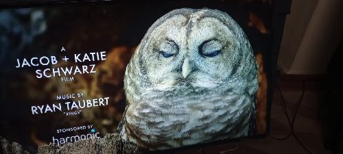 55 inch LED TV