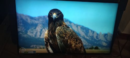 55 inch LED TV