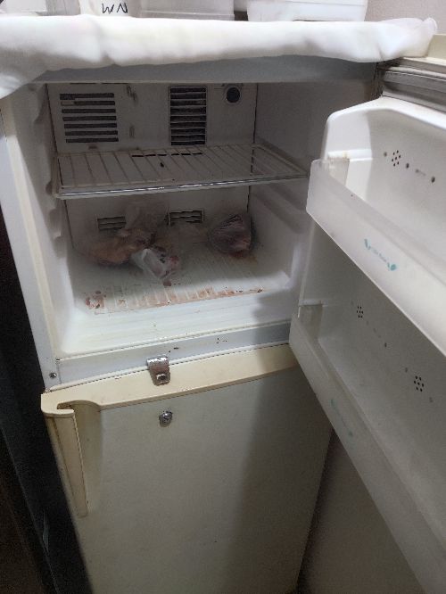 Hitachi 14 CFT Fridge ৬ মাস ব্যবহৃত হয়েছে সব কিছু