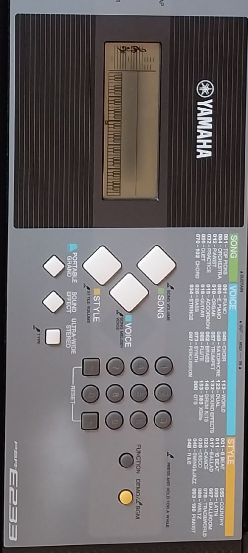 Yamaha Casio