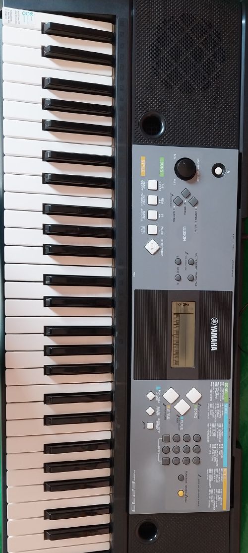 Yamaha Casio