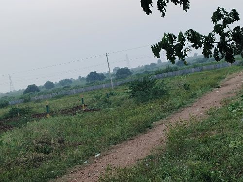 3.5 sent neyr mutt 1 km