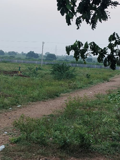 3.5 sent neyr mutt 1 km