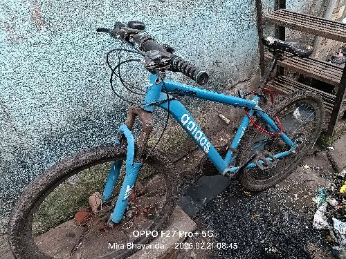 Ger wali cycle