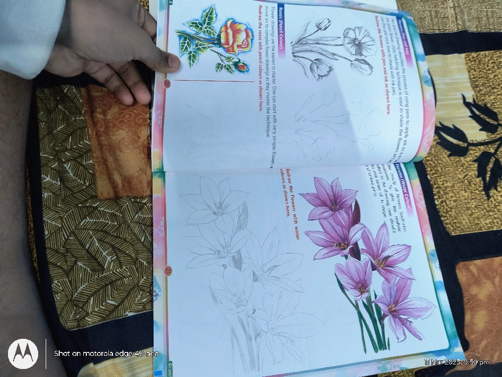 Drawing book class 8 Without doing anything in book