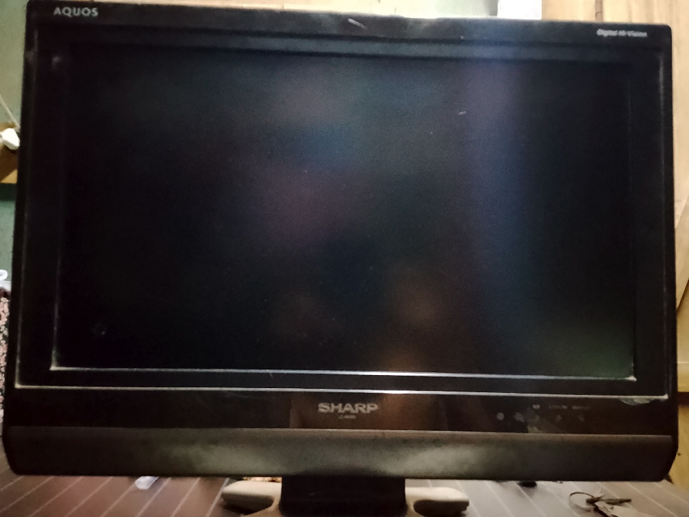 Sharp aquas monitor (original japanese)
