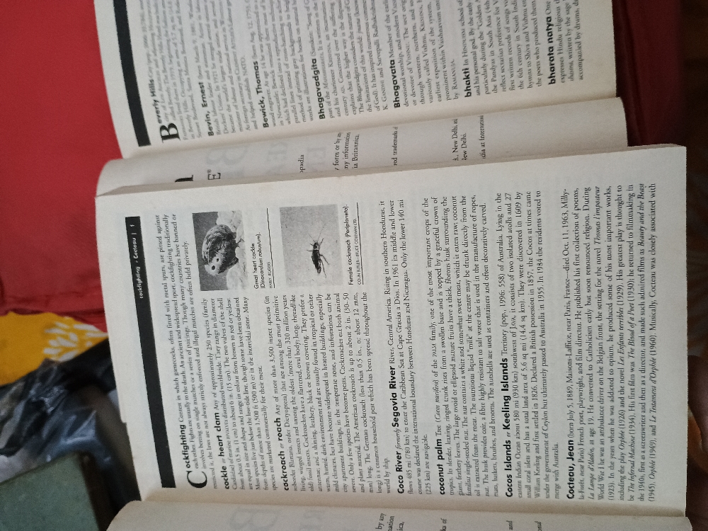 Knowledgeable books for all
