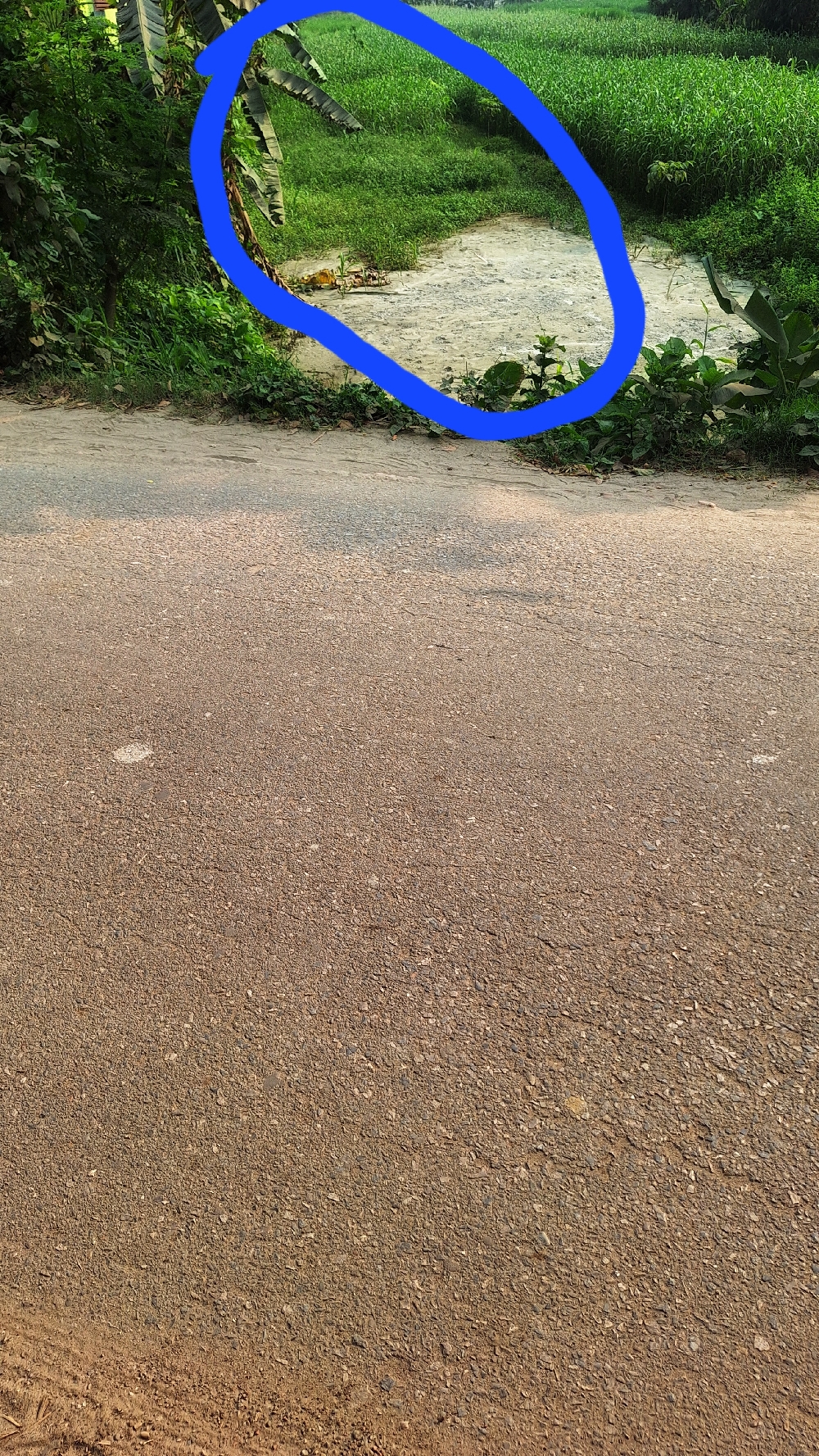 ঢাকার প্রাণকেন্দ্র মতিঝিল থেকে গুলিস্তান, যাত্রাবাড়ী ফ্লাইওভার দিয়ে ঢাকা কেন্দ্রীয়