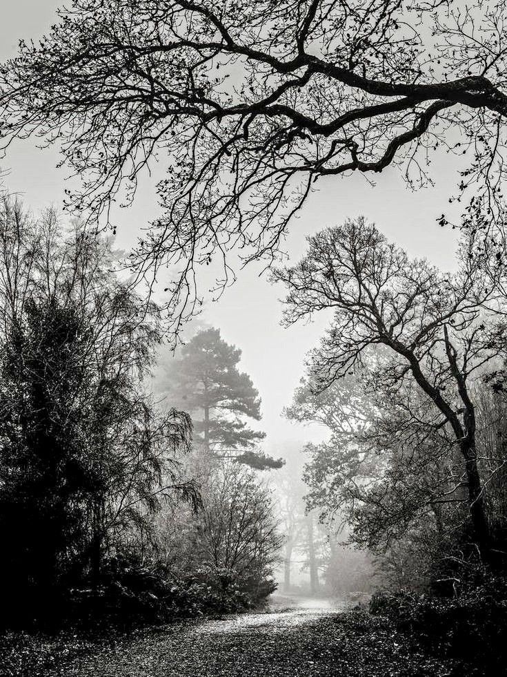 Abimthin Wall Art Bring Nature to Your Walls! Our nature-inspired