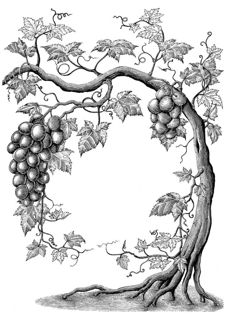 Abimthin Wallart Bring Nature to Your Walls! Our nature-inspired wall