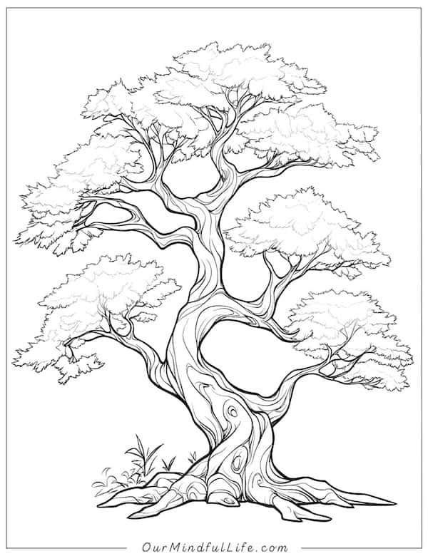 Abimthin Wall Art Bring Nature to Your Walls! Our nature-inspired
