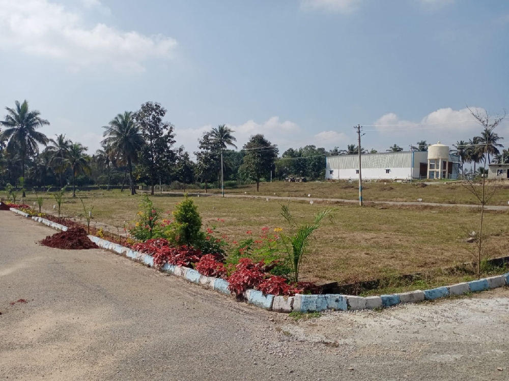 Asset nimishadri estate