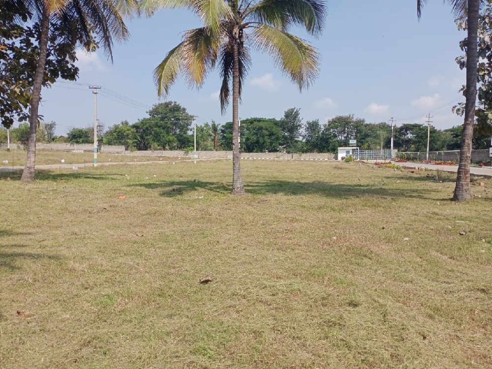 Asset nimishadri estate