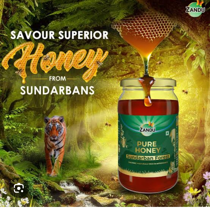 Sondhorbonar Modhu