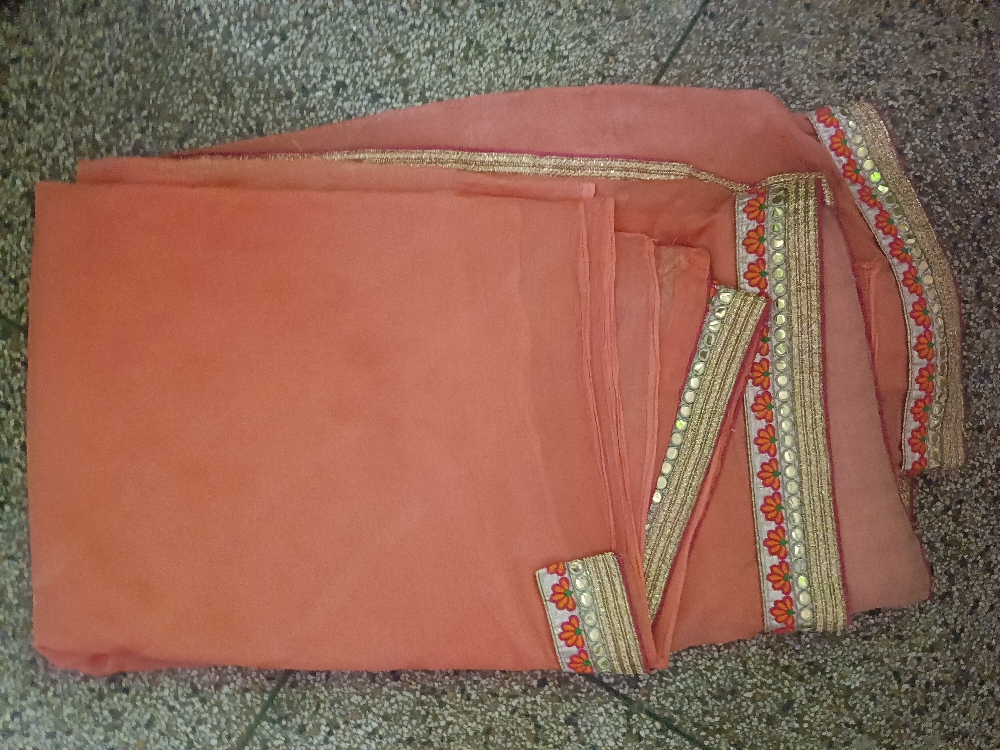 Sari with beautiful gota lace