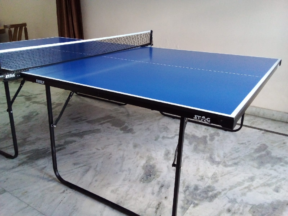 Table tennis table of stag company