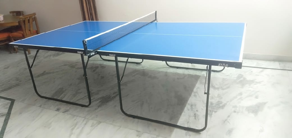 Table tennis table of stag company