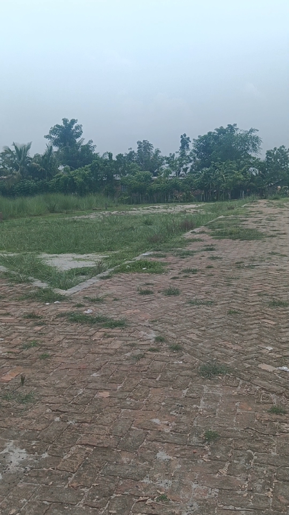 ২০ ফিট ও ১৫ ফিটের বিশাল রাস্তা সহ জমি বিক্রয়