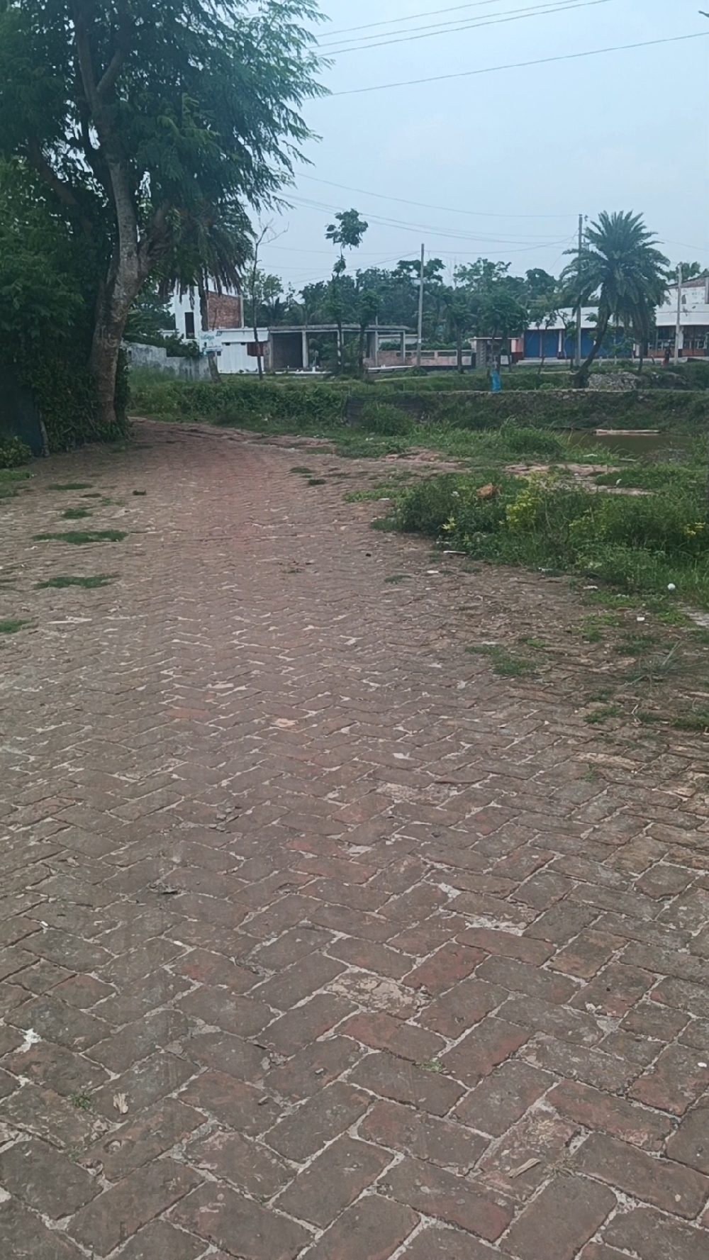 ২০ ফিট ও ১৫ ফিটের বিশাল রাস্তা সহ জমি বিক্রয়