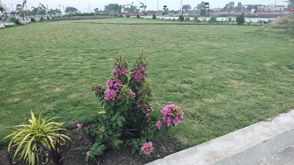 Super coridor ujjain road par