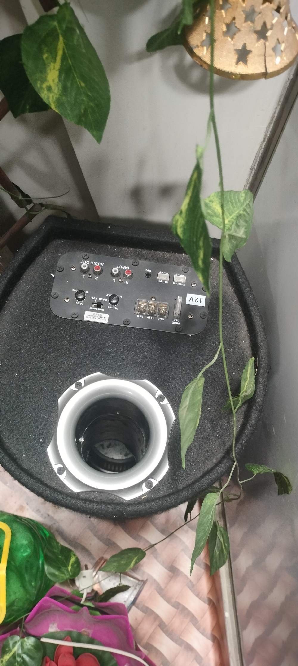 Bass tube with amp
