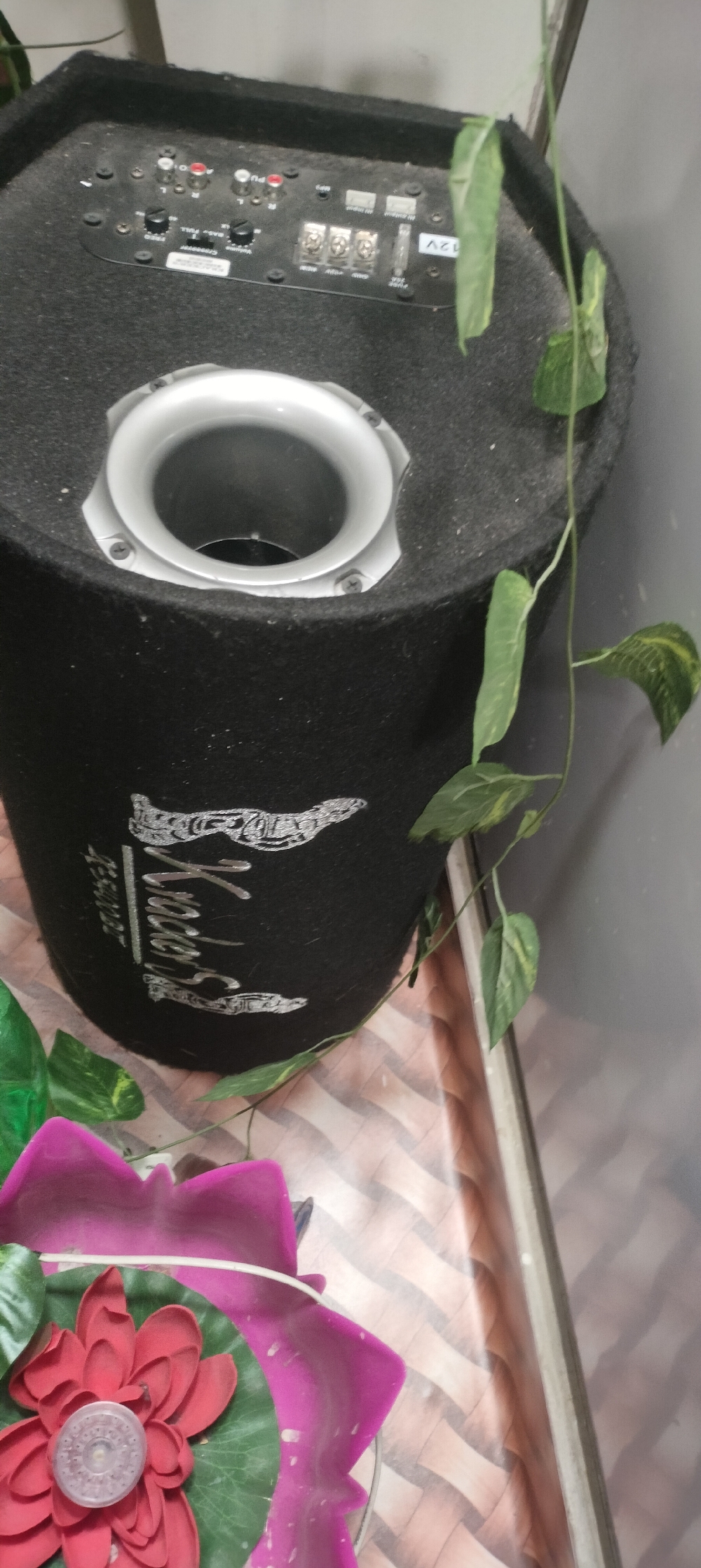 Bass tube with amp