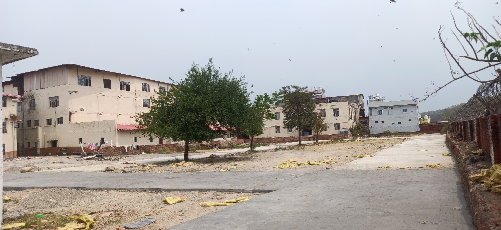 Plots opposite to BFIT University