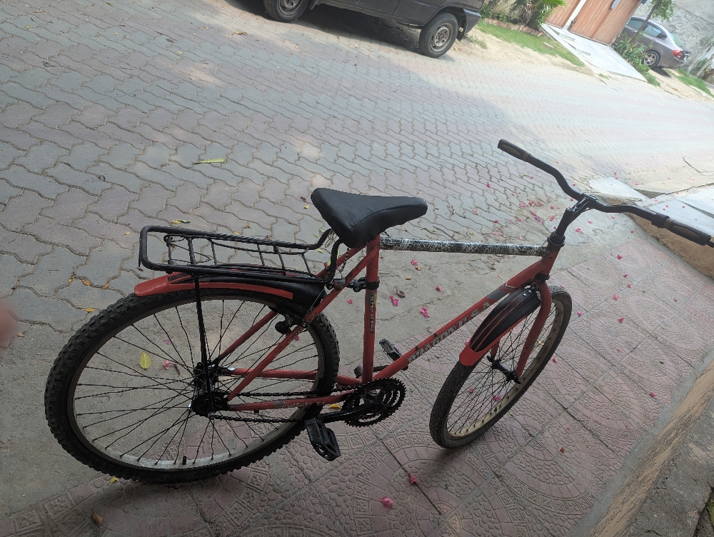 Cycle for sale Dragon USA