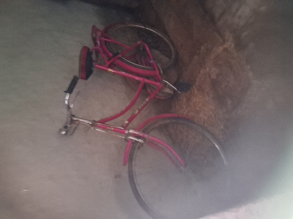 Yeh cycle keval 8 month chli hai majboori me bech