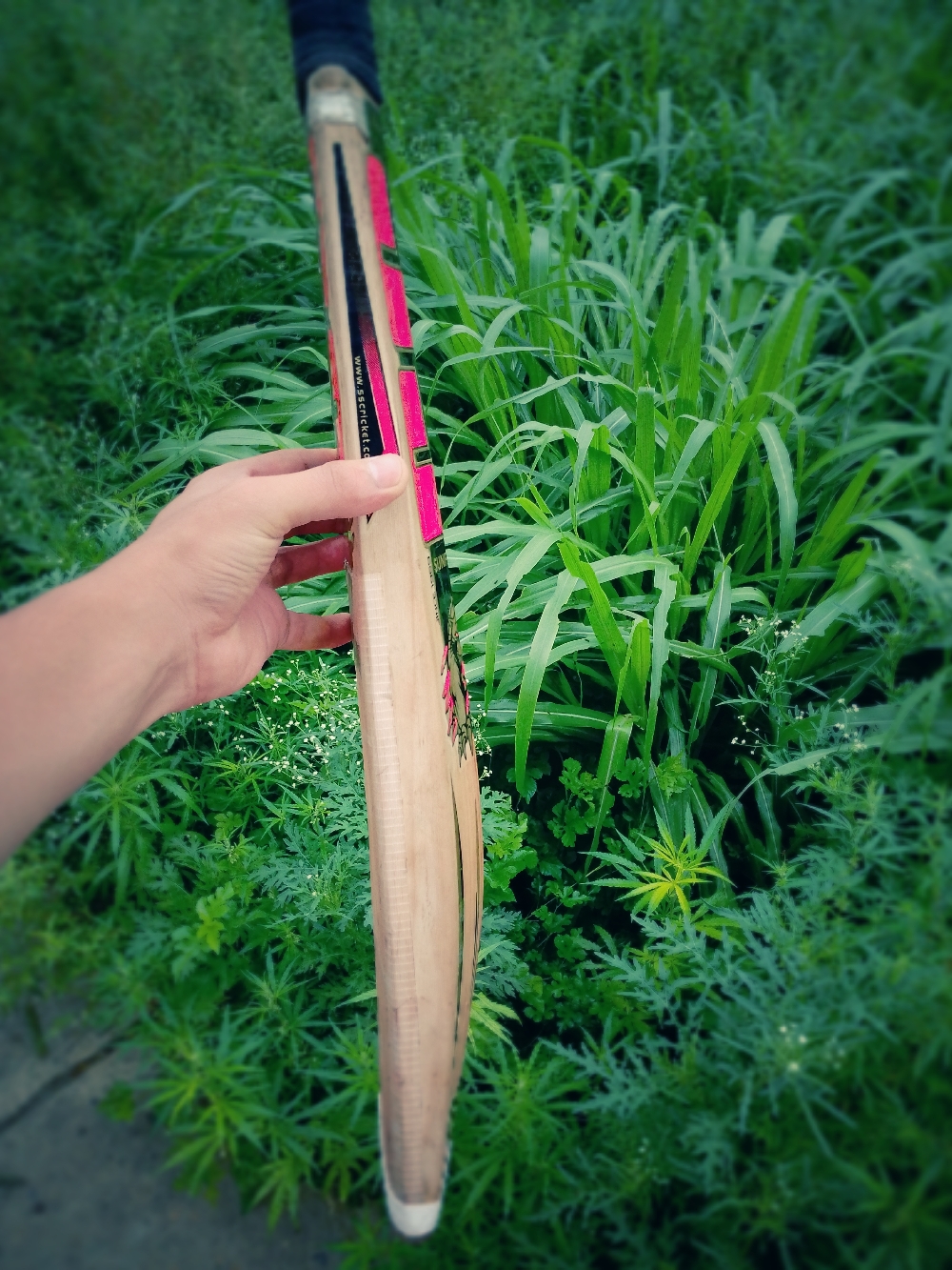 HARD BALL BAT DEVIL EDITION