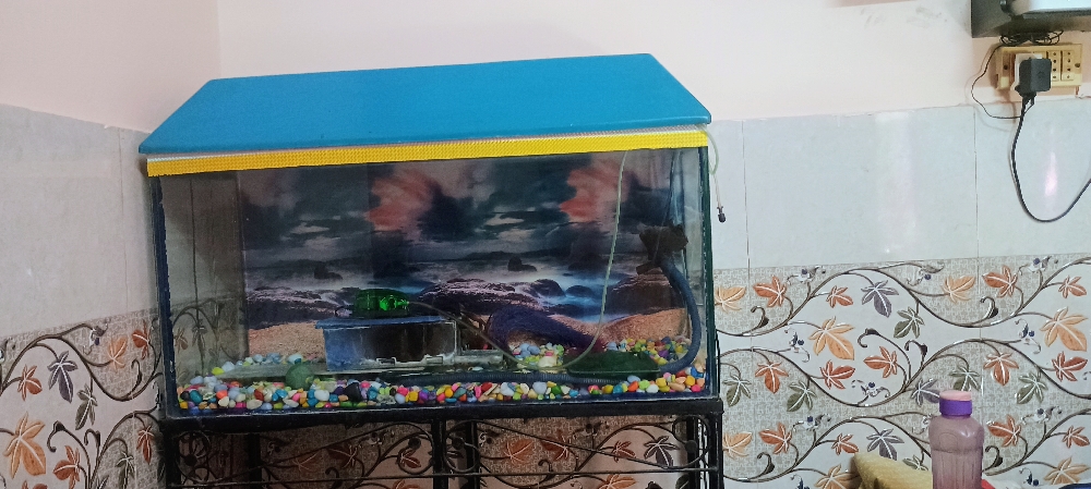 Acquarium with stand and light and stone without fish