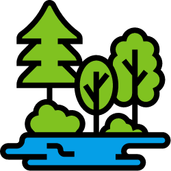 Landscaping  & Gardening