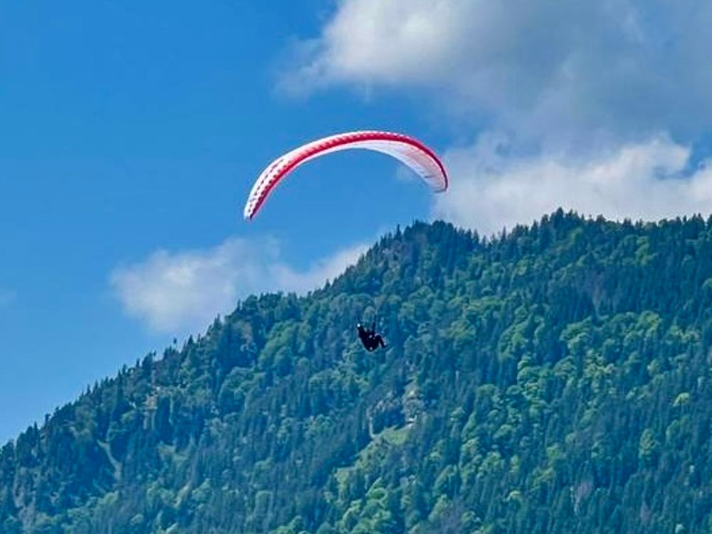 Swing SeracRS SM Gleitschirm 2022 gebraucht thumbnail