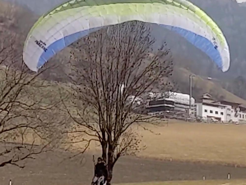 Papillon Raqoon 60 Gleitschirm 2021 gebraucht thumbnail