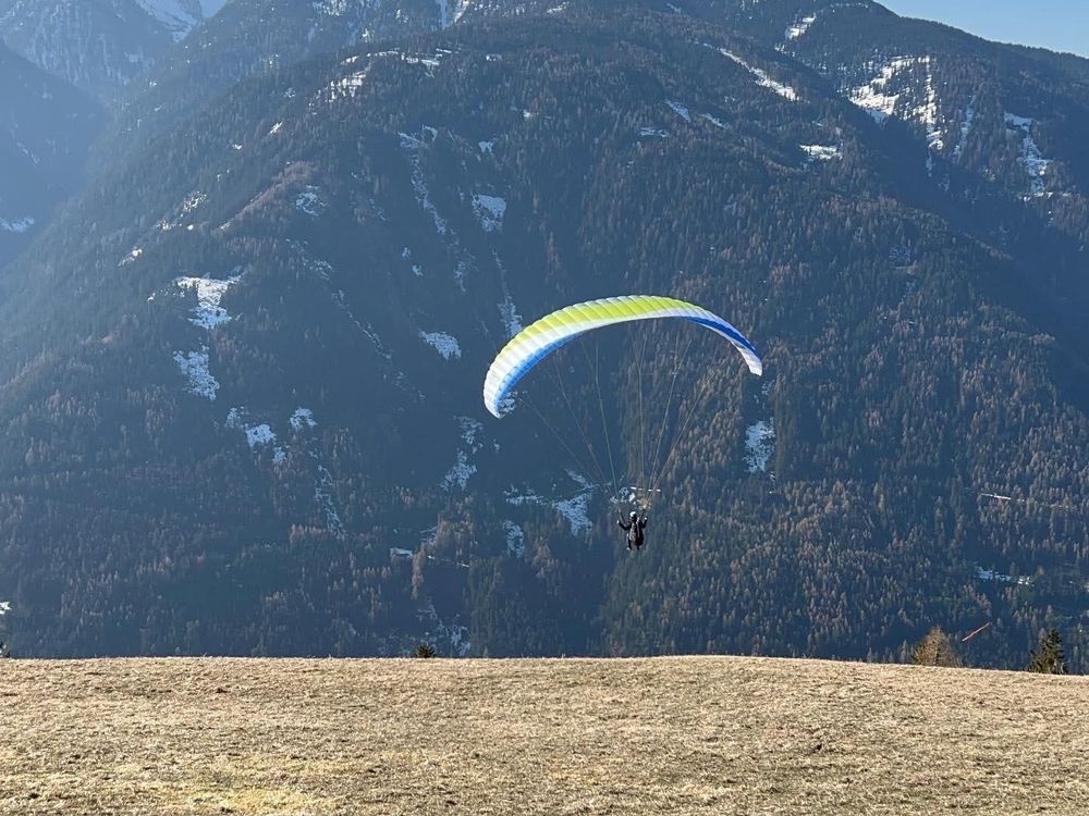 Papillon Raqoon 60 Gleitschirm 2021 gebraucht