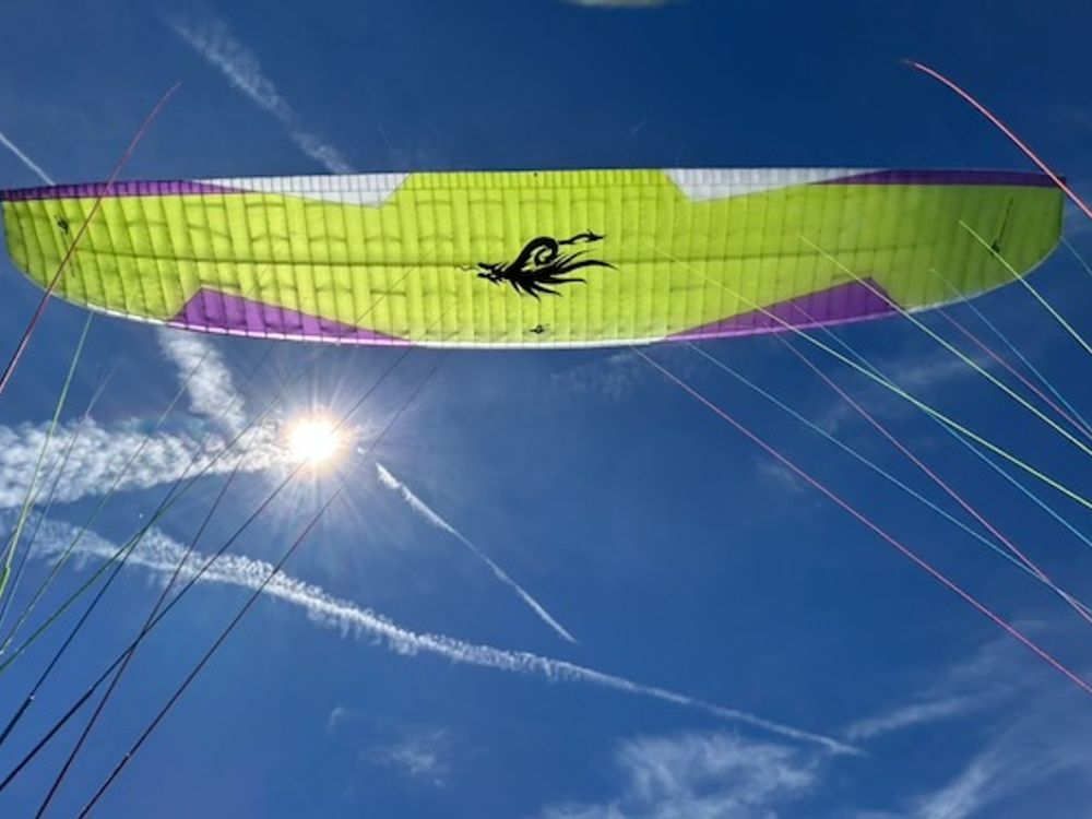 ProFly LeeLoo S Gleitschirm 2022 gebraucht