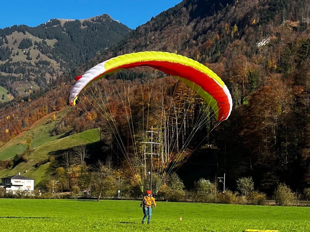 ADVANCE ALPHA 8 24 Gleitschirm 2025 gebraucht