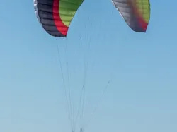 UP Rimo